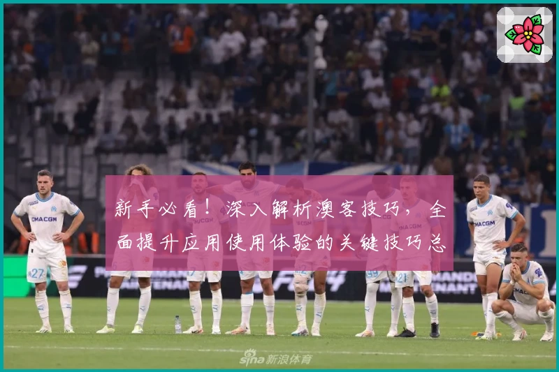 新手必看！深入解析澳客技巧，全面提升应用使用体验的关键技巧总结