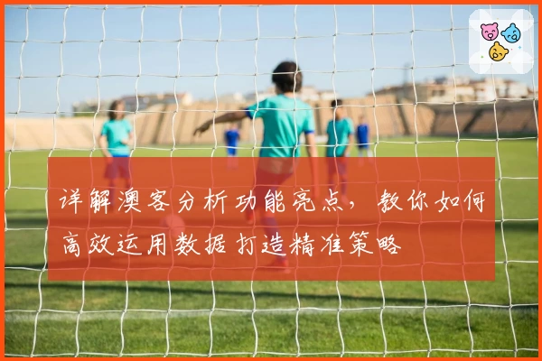 详解澳客分析功能亮点，教你如何高效运用数据打造精准策略